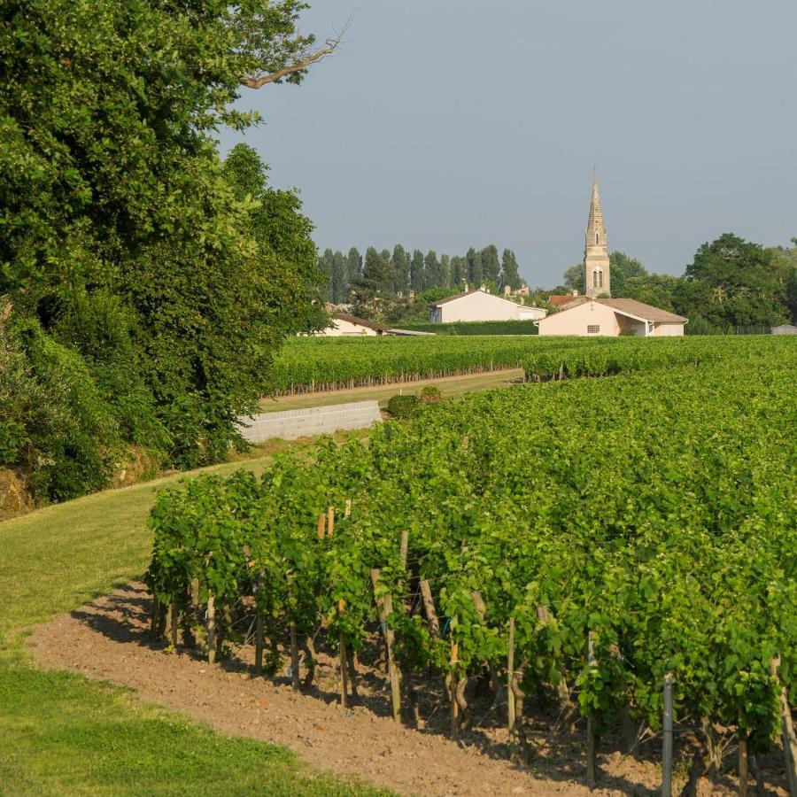 Clos De Bertinat Saint-Sulpice-de-Faleyrens Экстерьер фото