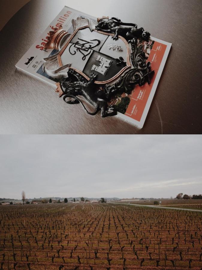 Clos De Bertinat Saint-Sulpice-de-Faleyrens Экстерьер фото