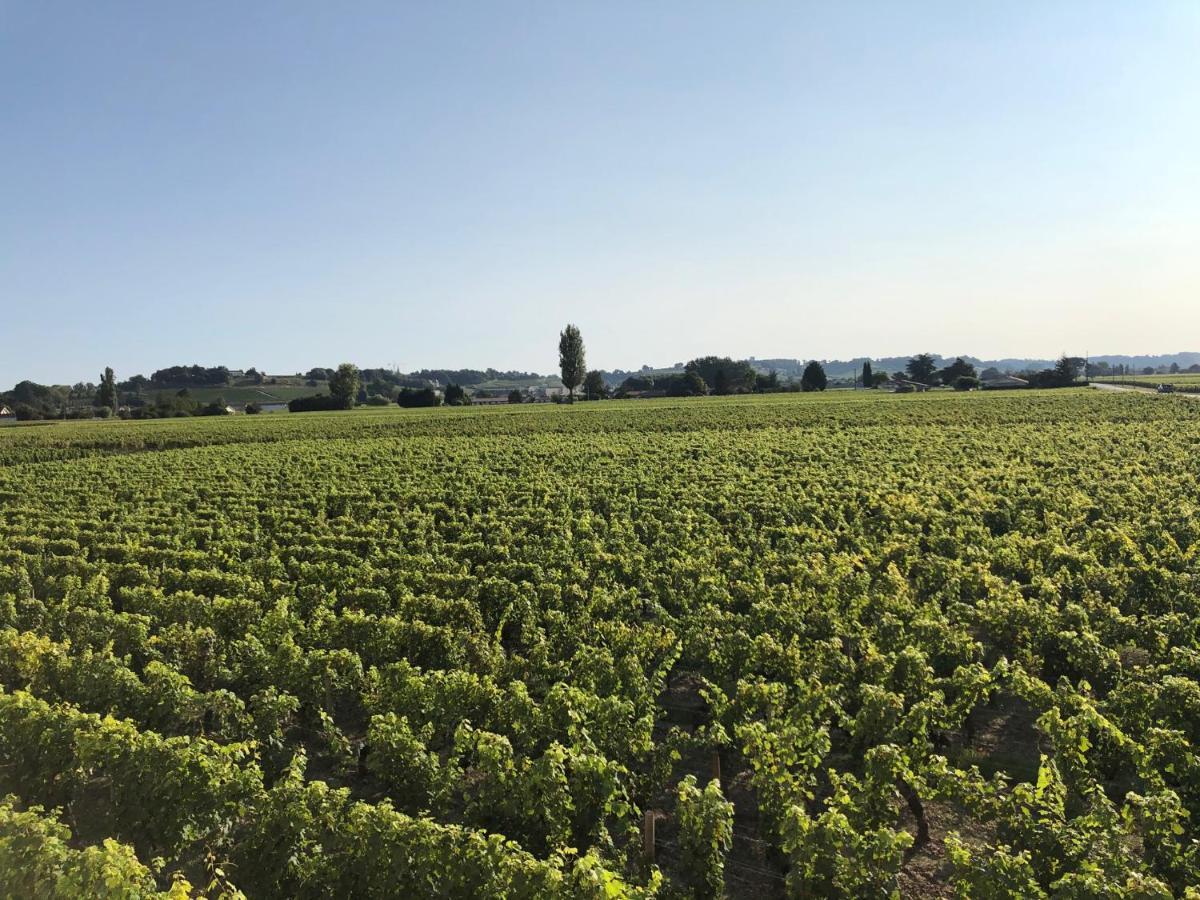Clos De Bertinat Saint-Sulpice-de-Faleyrens Экстерьер фото